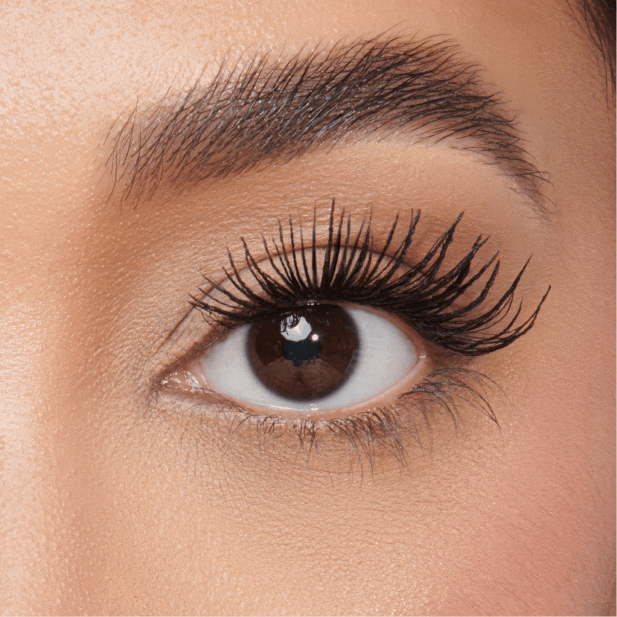 tothelove Mascara tothelash